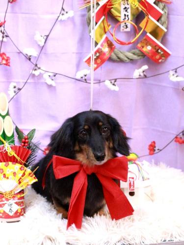 20230111モカちゃん